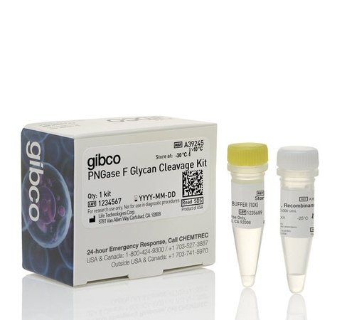 Pngase f glycan cleavage kit-1 kit