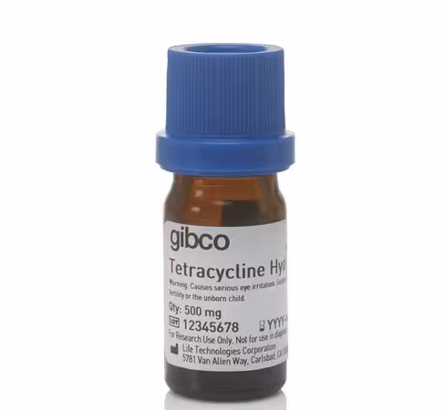 Tetracycline hydrochloride-500 µg 500 mg
