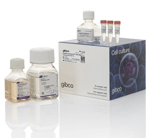 Expifectamine 293 met (-) transfection kit-1 kit