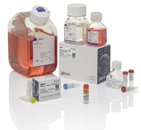 Expi293 gnti- expression system kit-1 kit