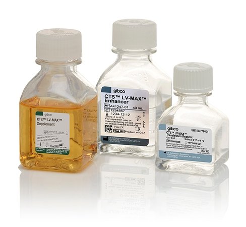 Cts lv-max transfection kit 1 L