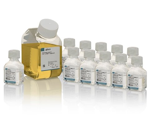 Cts lv-max transfection kit 10 L