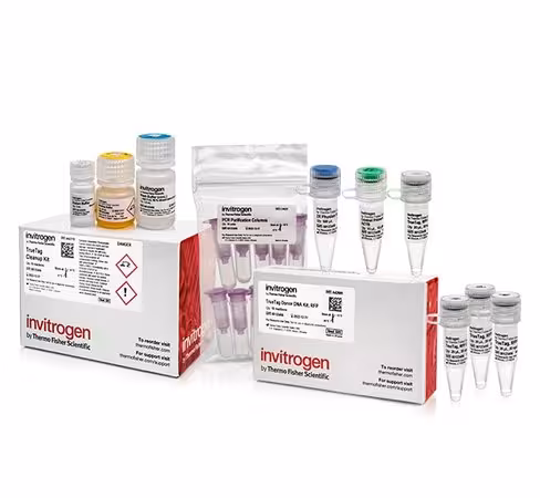 Truetag donor dna kit, rfp-10 réactions