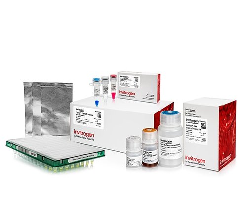 Collibri pcr-free es dna library prep kit for illumina systems, with ud indexes (set b, 25-48)-24 preps