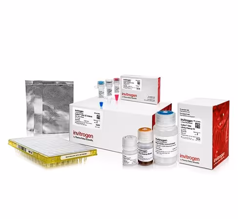 Collibri pcr-free es dna library prep kit for illumina systems, with ud indexes (set c, 49-72)-24 preps
