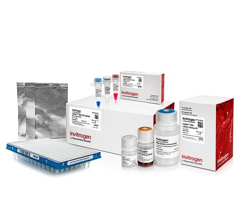 Collibri pcr-free es dna library prep kit for illumina systems, with ud indexes (set d, 73-96)-24 preps