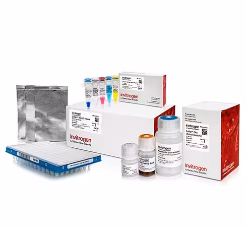 Collibri es dna library prep kit for illumina systems, with ud indexes (set d, 73-96)-24 preps