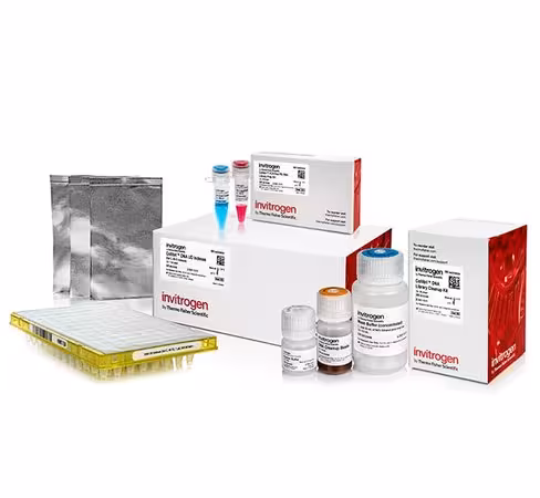 Collibri pcr-free ps dna library prep kit for illumina systems, with ud indexes (set c, 49-72)-24 preps
