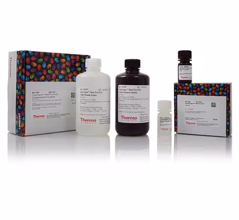 Supersignal western blot substrate bundle, pico plus + trial-size femto-500 ml