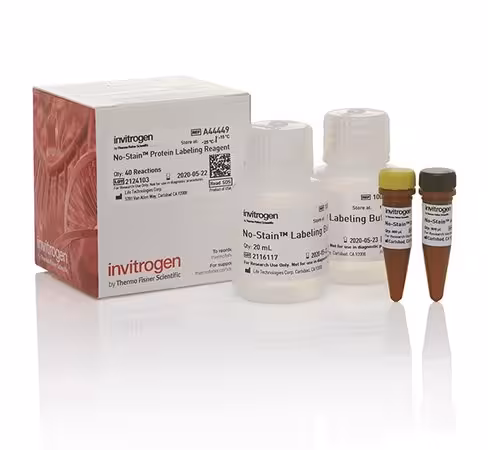 No-stain protein labeling reagent-10 réactions