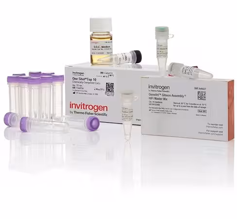 Geneart gibson assembly hifi cloning kit, chemically competent cells-10 réactions