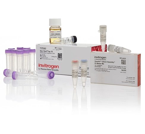 Geneart gibson assembly ex cloning kit, chemically competent cells-10 réactions