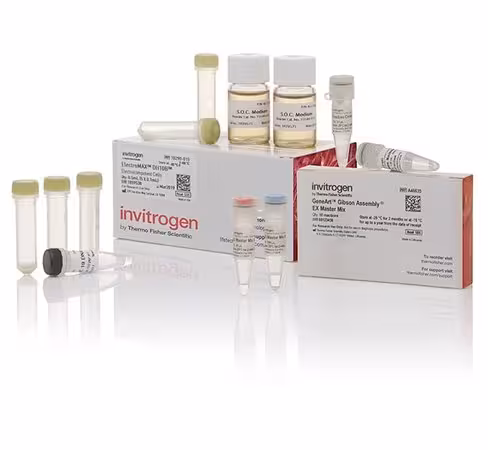 Geneart gibson assembly ex cloning kit, electrocompetent cells-10 réactions