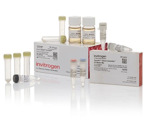Geneart gibson assembly ex cloning kit, electrocompetent cells-10 réactions