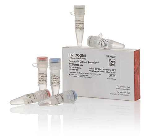 Geneart gibson assembly ex master mix-200 réactions