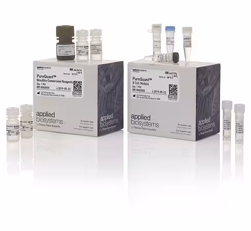Purequant b cell assay-28 réactions