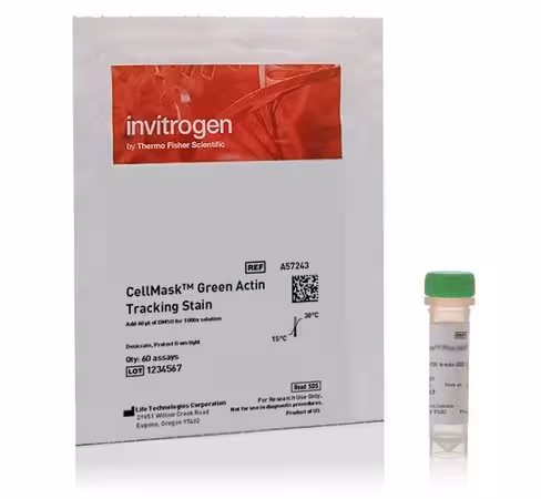 Cellmask green actin tracking stain-1 x 60 réactions