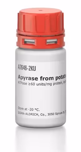 Apyrase from potatoes atpase 60-200 un 100 U