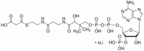 Malonyl coenzyme a lithium 5 mg