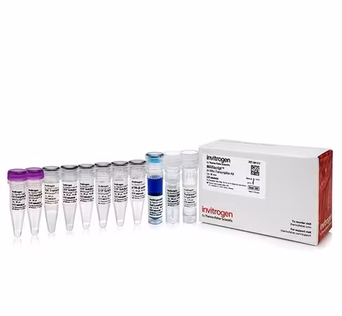 Maxiscript t7 transcription kit-100 réactions