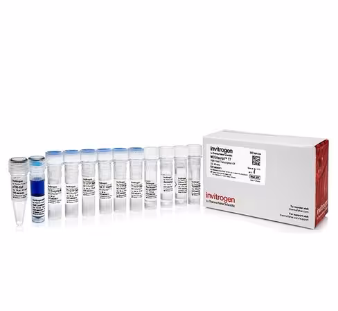 Megascript t7 transcription kit-40 réactions