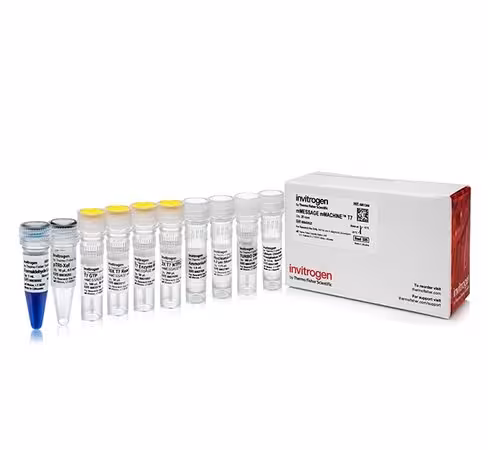 Mmessage mmachine t7 transcription kit-25 réactions