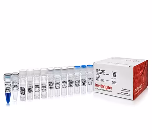 Mmessage mmachine t7 ultra transcription kit-10 réactions