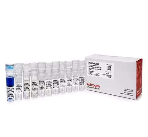 Megashortscript t7 transcription kit-25 réactions