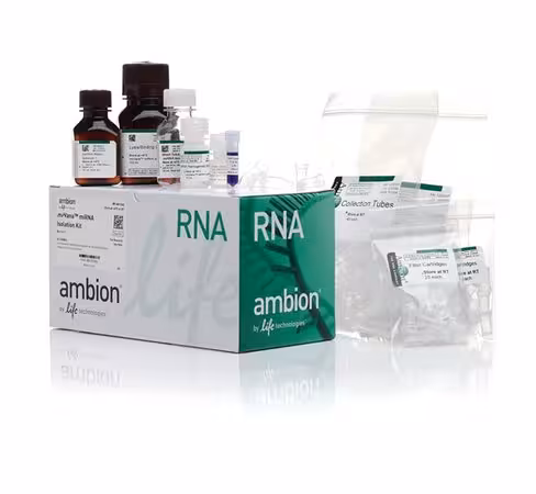 Mirvana mirna isolation kit, with phenol-40 preps