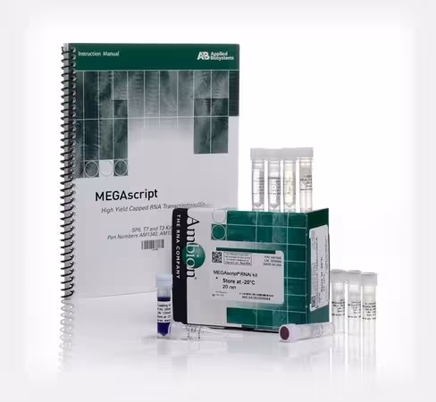 Megascript rnai kit-20 réactions