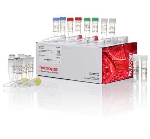 Firstchoice rlm-race kit with manual-1 kit