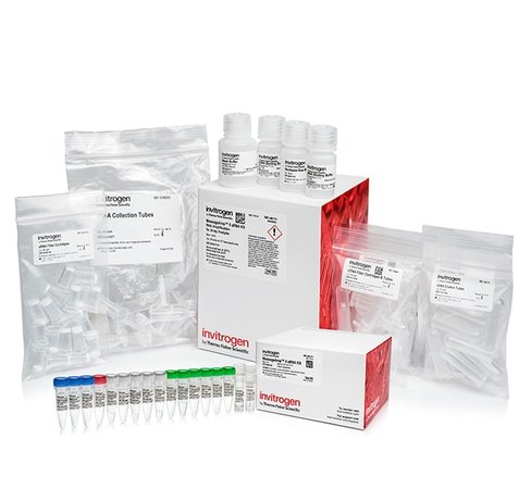 Messageamp ii arna amplification kit-20 réactions