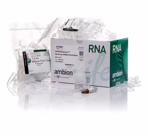 Microbexpress bacterial mrna enrichment kit-20 preps
