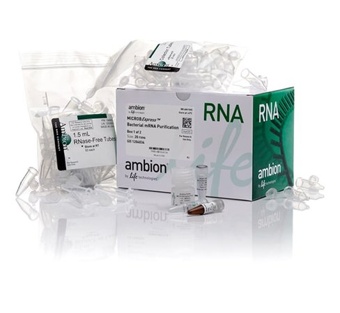 Microbexpress bacterial mrna enrichment kit-20 preps