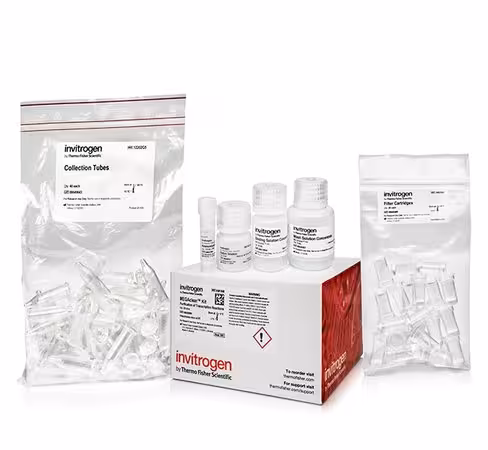 Megaclear transcription clean-up kit-20 preps