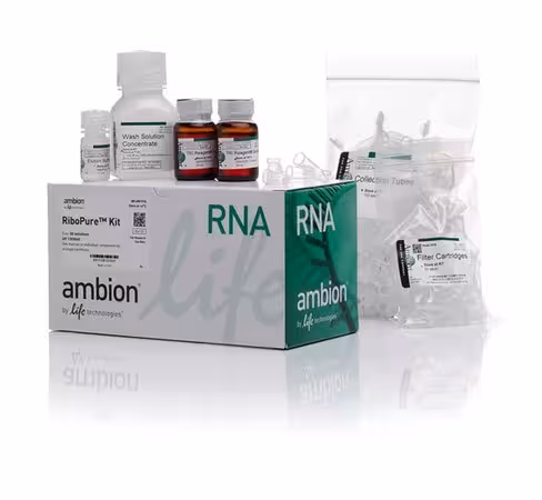 Ribopure rna purification kit-50 preps
