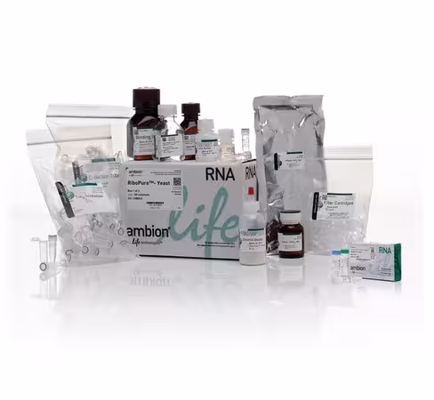 Ribopure rna purification kit, yeast-50 preps