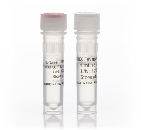 Ambion dnase i (rnase-free)-2,000 units 2000 unités