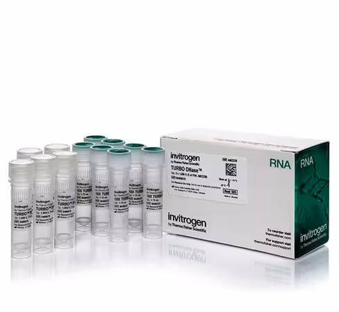 Turbo dnase (2 u/ul)-5,000 units 5000 unités