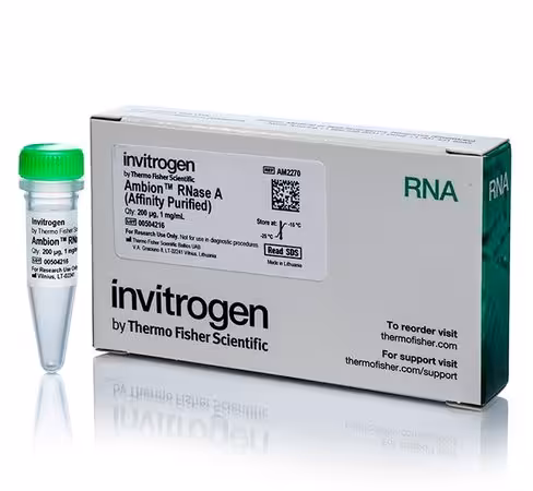 Ambion rnase a, affinity purified, 1 µg/ml-200 µg