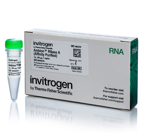 Ambion rnase a, affinity purified, 1 µg/ml-200 µg