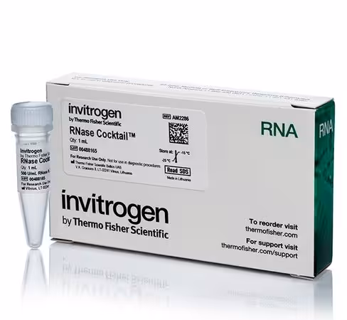 Rnase cocktail enzyme mix-1 ml