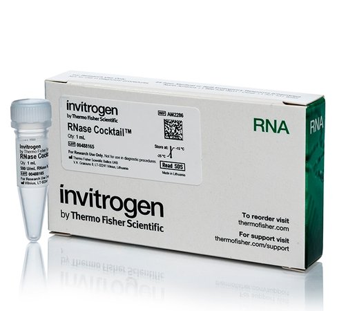Rnase cocktail enzyme mix-1 ml