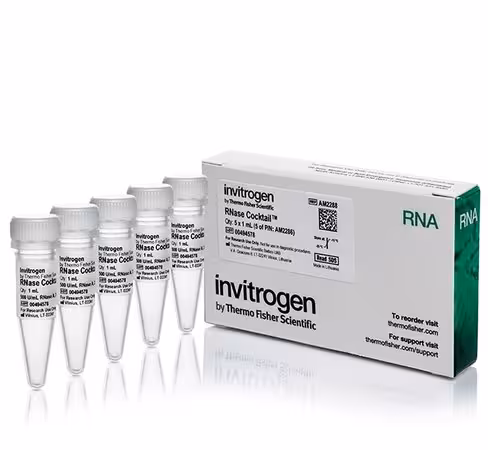 Rnase cocktail enzyme mix-5 x 1 ml