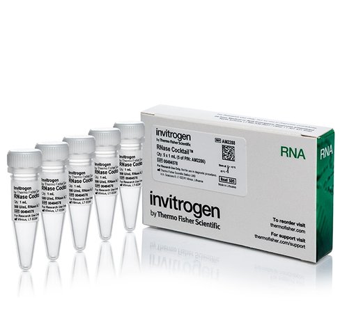 Rnase cocktail enzyme mix-5 x 1 ml
