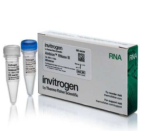 Ambion rnase iii-250 units 250 unités