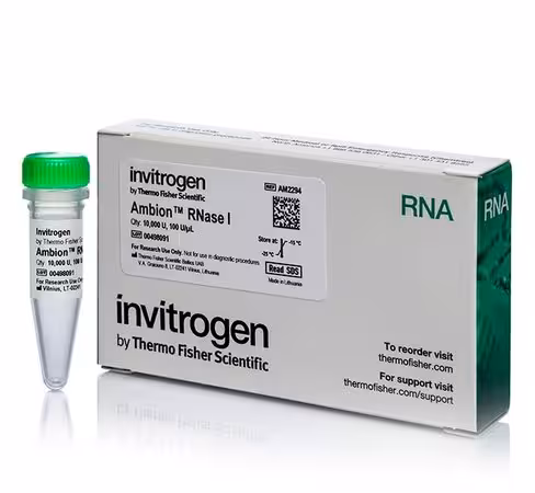Ambion rnase i, cloned, 100 u/ul-10,000 units 10000 unités