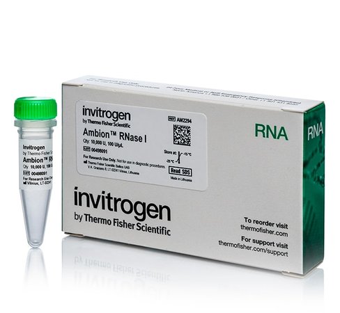 Ambion rnase i, cloned, 100 u/ul-10,000 units 10000 unités
