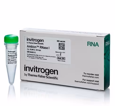 Ambion rnase i, cloned, 100 u/ul-25,000 units 25000 unités