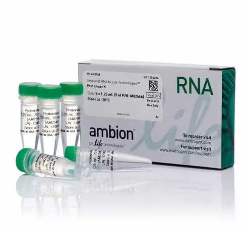 Proteinase k solution (20 µg/ml)-5 x 1.25 ml